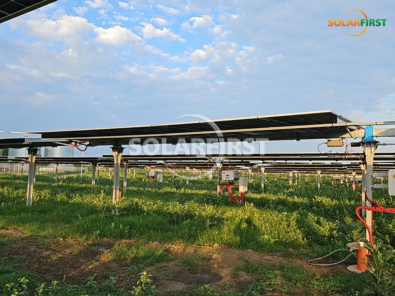 Suivi mono-axe plat de 20 MWc en Roumanie